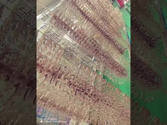 Titanium legering Brillijsten PVD coating machine