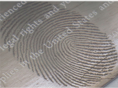 Hoogvacuümmetalliseringssysteem, thermische verdamping coating unit voor vingerafdruk afbeelding